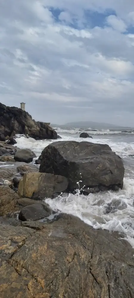 Ilha das Palmas — foto 3