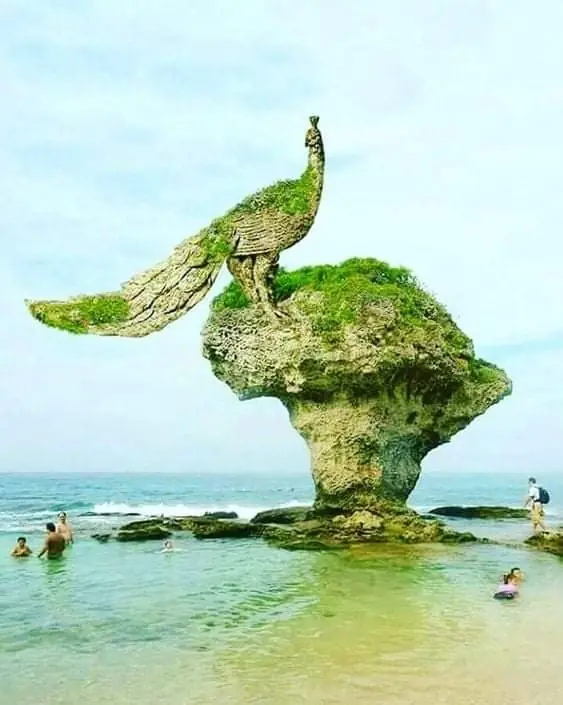 Ilha das Peças — foto 4