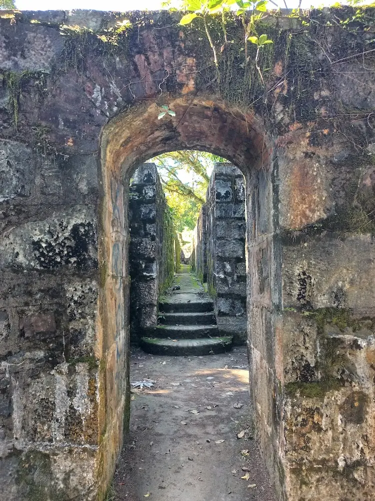Morro da Baleia — foto 2