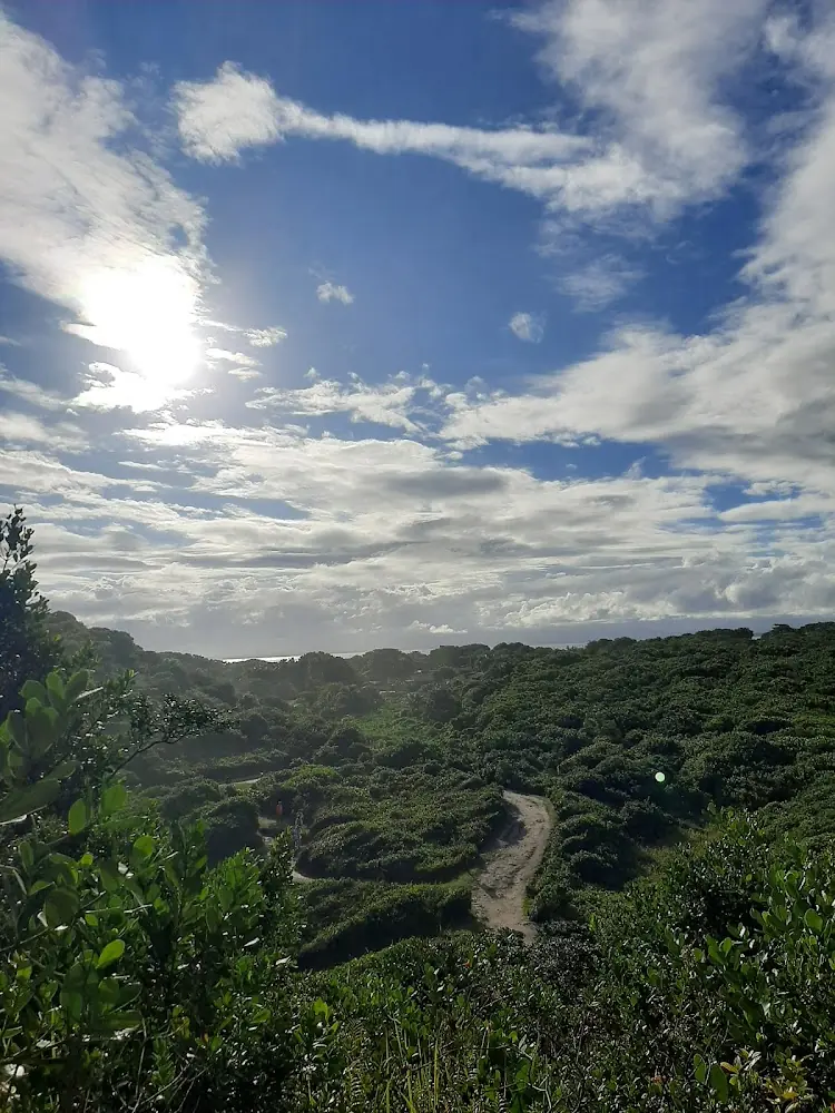 Morro das Encantadas — foto 3