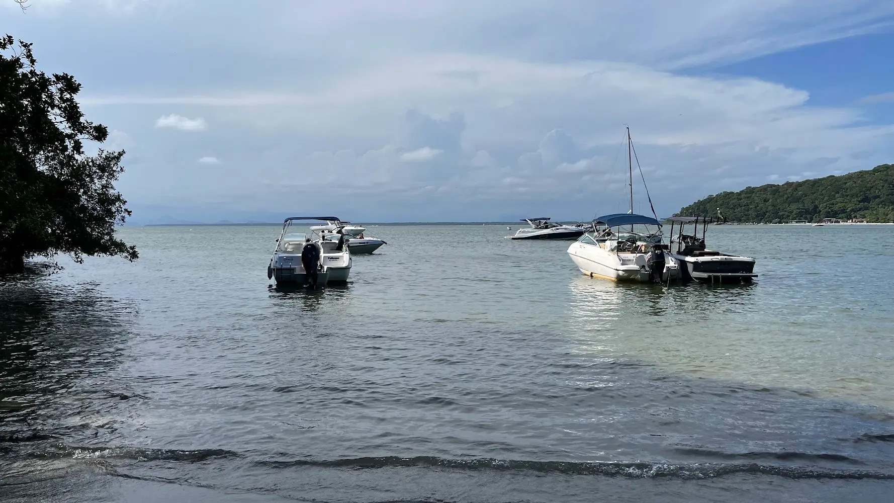 Trilha da Praia do Miguel — foto 2