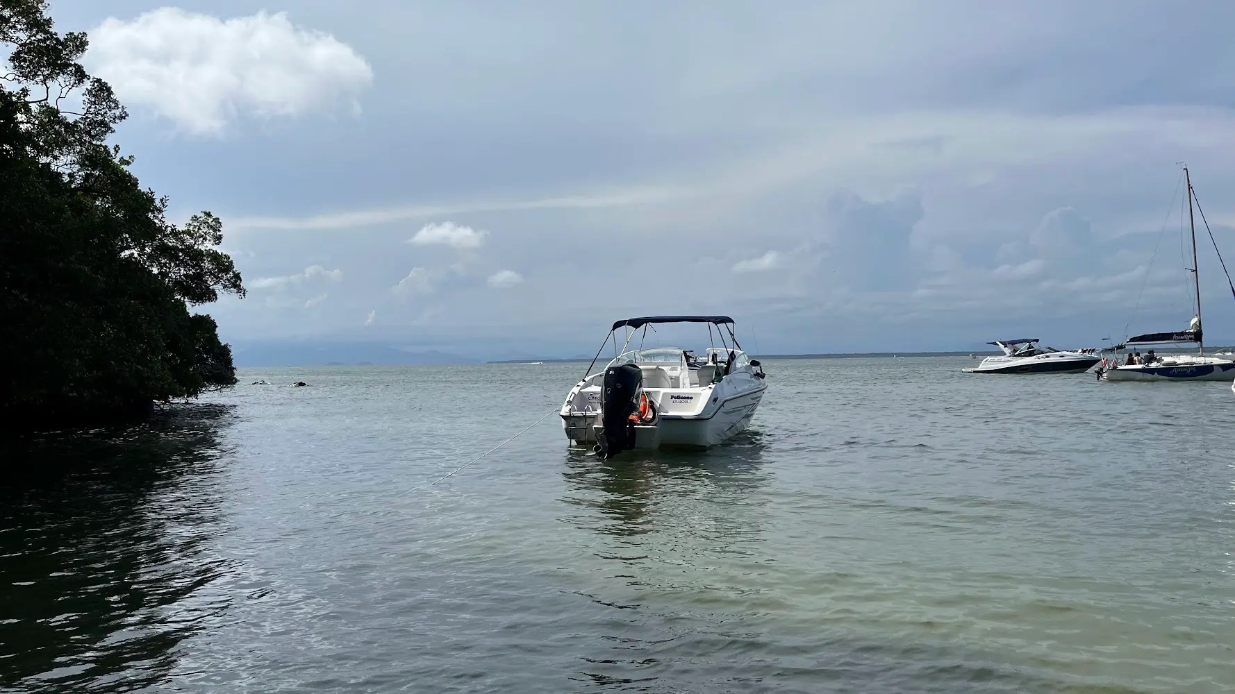 Trilha da Praia do Miguel — foto 5