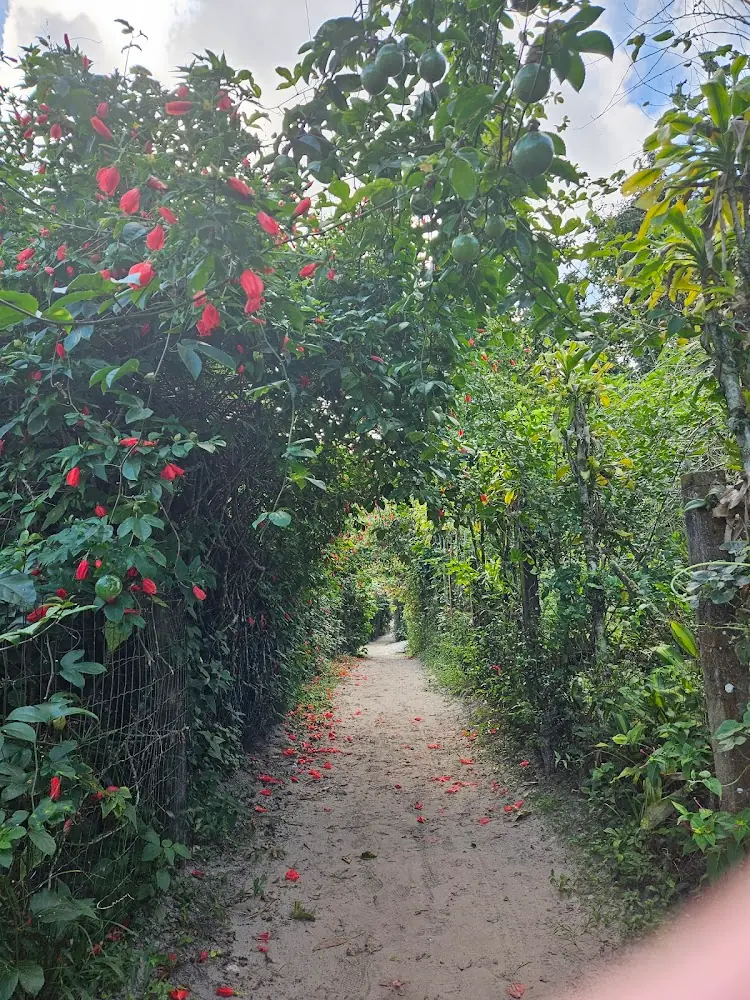 Vila das Encantadas — foto 4